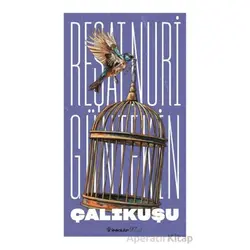 Çalıkuşu - Reşat Nuri Güntekin - İnkılap Kitabevi