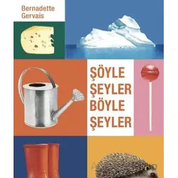 Şöyle Şeyler Böyle Şeyler - Bernadette Gervais - Hep Kitap