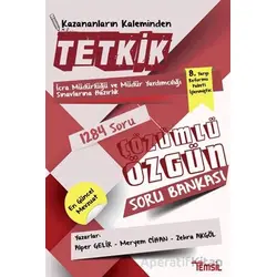 Tetkik İcra Müdürlüğü ve Müdür Yardımcılığı Sınavlarına Hazırlık Çözümlü Soru Bankası