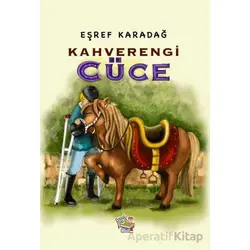 Kahverengi Cüce - Eşref Karadağ - Parmak Çocuk Yayınları