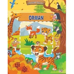 Orman - Pencereli Kitaplar - Kolektif - 0-6 Yaş Yayınları