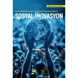 Sosyal İnovasyon - Sosyal İnovasyon Yaklaşımı, Aktörleri, İyi Uygulama Örnekleri