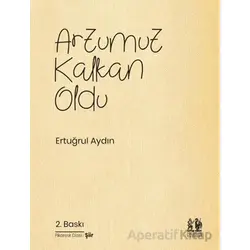 Arzumuz Kalkan Oldu - Ertuğrul Aydın - Pikaresk Yayınevi