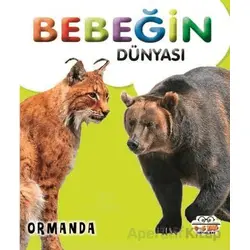 Bebeğin Dünyası Ormanda - Kollektif - 0-6 Yaş Yayınları