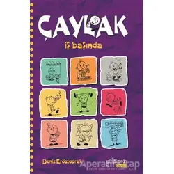 Çaylak - İş Başında - Deniz Eröztoprak - Yakamoz Yayınevi