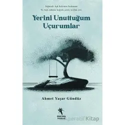 Yerini Unuttuğum Uçurumlar - Ahmet Yaşar Gündüz - Öğretmen Yazarlar