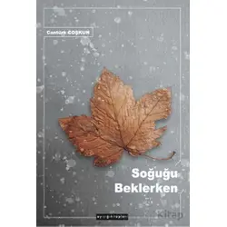 Soğuğu Beklerken - Cantürk Coşkun - Ayışığı Kitapları
