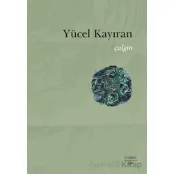 Çalgın - Yücel Kayıran - Everest Yayınları