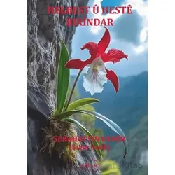 Helbest u Heste Bırindar - Sebahattin Demir - Liman Yayınevi