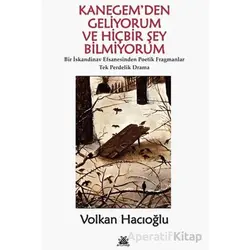 Kanegemden Geliyorum ve Hiçbir Şey Bilmiyorum - Volkan Hacıoğlu - Artshop Yayıncılık