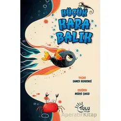 Küçük Kara Balık - Samed Behrengi - Tulu Kitap