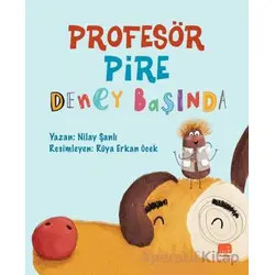 Profesör Pire Deney Başında - Nilay Şanlı - Uçan Fil Yayınları