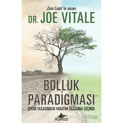 Bolluk Paradigması - Joe Vitale - Pegasus Yayınları