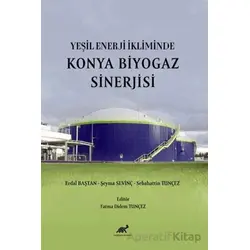 Yeşil Enerji İkliminde Konya Biyogaz Sinerjisi - Kolektif - Paradigma Akademi Yayınları