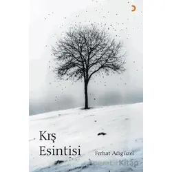 Kış Esintisi - Ferhat Adıgüzel - Cinius Yayınları