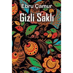 Gizli Saklı - Ebru Çamur - Cinius Yayınları
