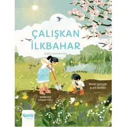 Çalışkan İlkbahar - Sean Taylor - Çelik Yayınevi