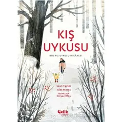 Kış Uykusu - Sean Taylor - Çelik Yayınevi