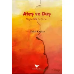 Ateş ve Düş: Şeyh Gâlib’e Şiirler - Fahri Kaplan - Günce Yayınları