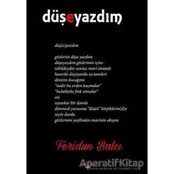 Düşeyazdım - Feridun Balcı - Ayata Kitap