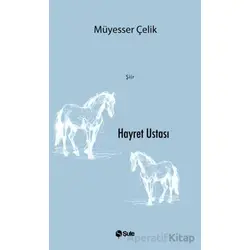 Hayret Ustası - Müyesser Çelik - Şule Yayınları