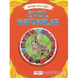 Bildiğin Gibi Değil - Evcil Hayvanlar - Asena Meriç - Yediveren Çocuk