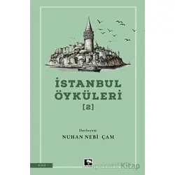 İstanbul Öyküleri 2 - Kolektif - Çınaraltı Yayınları
