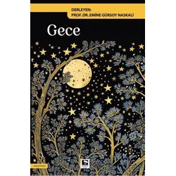 Gece - Kolektif - Çınaraltı Yayınları