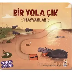 Bir Yola Çık - Hayvanlar - Kolektif - Sincap Kitap