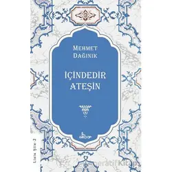 İçindedir Ateşin - Mehmet Dağınık - Girdap Kitap