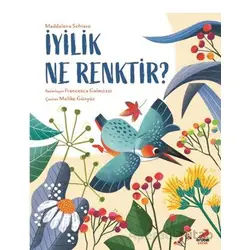 İyilik Ne Renktir? - Maddalena Schiavo - Erdem Çocuk