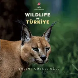 Wildife Of Türkiye - Bülent Gözcelioğlu - TÜBİTAK Yayınları