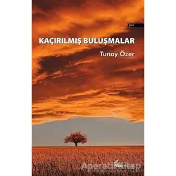 Kaçırılmış Buluşmalar - Tunay Özer - Okur Kitaplığı