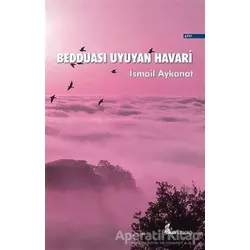 Bedduası Uyuyan Havari - İsmail Aykanat - Okur Kitaplığı