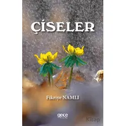 Çiseler - Fikriye Namlı - Gece Kitaplığı
