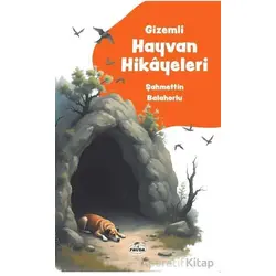 Gizemli Hayvan Hikayeleri - Şahmettin Balahorlu - Ravza Yayınları