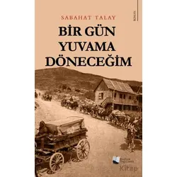 Bir Gün Yuvama Döneceğim - Sabahat Talay - Karina Yayınevi