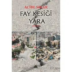 Fay Kesiği Yara - Acibe Sıkar - Artshop Yayıncılık