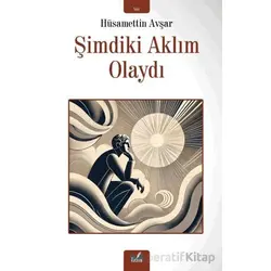 Şimdiki Aklım Olaydı - Hüsamettin Avşar - İzan Yayıncılık