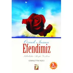 Örnek İnsan Efendimiz - Cemalettin Yazıcı - Altın Kalem Yayınları