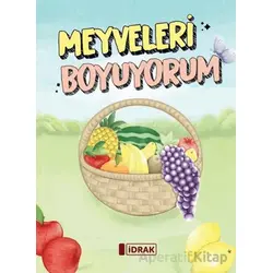 Meyveleri Boyuyorum - Ayşegül Ceylan - İdrak Yayınları