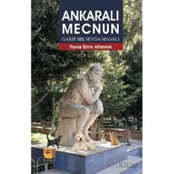 Ankaralı Mecnun - Yunus Emre Albayrak - Somut Yayınları