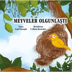 Meyveler Olgunlaştı - Cemil Karagöz - Bilgi Yayınevi
