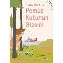 Pembe Kutunun Gizemi - Angela Bernhardt - Tudem Yayınları