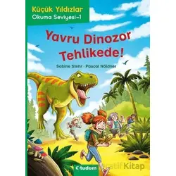 Küçük Yıldızlar: Yavru Dinozor Tehlikede! - Sabine Stehr - Tudem Yayınları