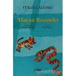 Afacan Resimler - Italo Calvino - Yapı Kredi Yayınları