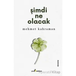 Şimdi Ne Olacak - Mehmet Kahraman - Çıra Yayınları
