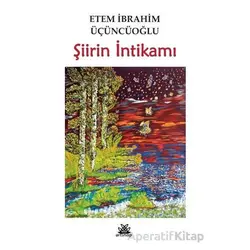 Şiirin İntikamı - Etem İbrahim Üçüncüoğlu - Artshop Yayıncılık