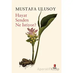 Hayat Senden Ne İstiyor? - Mustafa Ulusoy - Kapı Yayınları