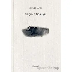 Çizginin Boşluğu - Zeynep Sayın - Norgunk Yayıncılık
